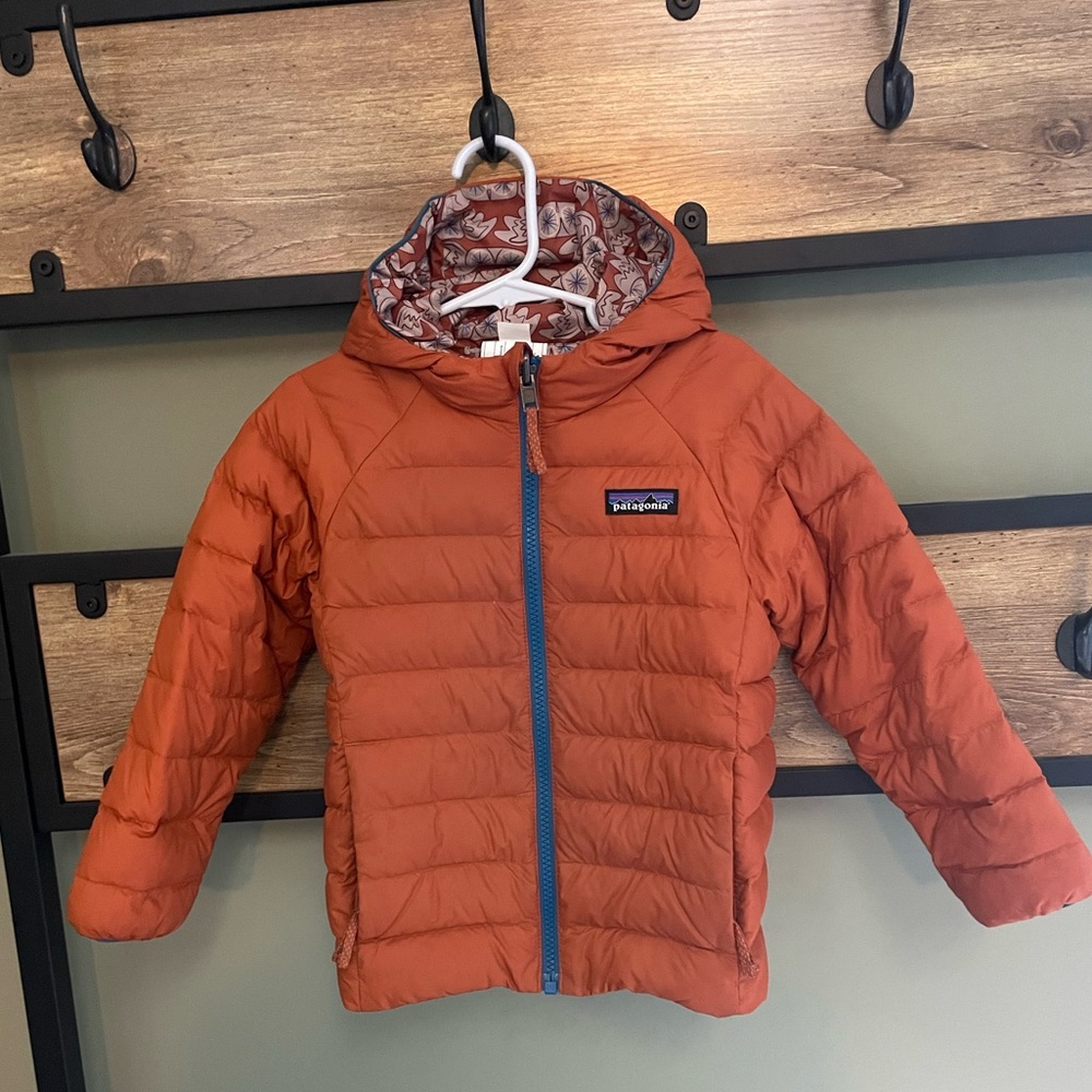 Patagonia Reversible Down Sweater Hoody